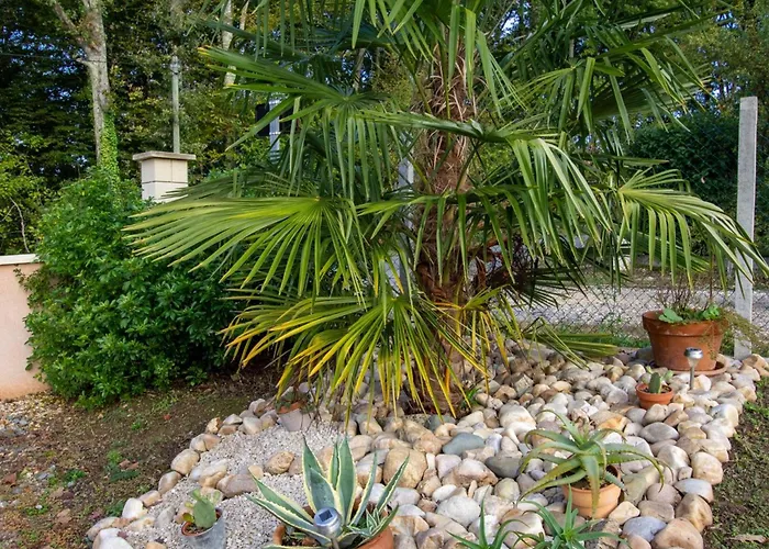 Belle Maison Plain-pied A 2 Pas De Perigueux, Terrasse, Jardin Clos, Confort Moderne, Animaux Bienvenus - Fr-1-616-99 *